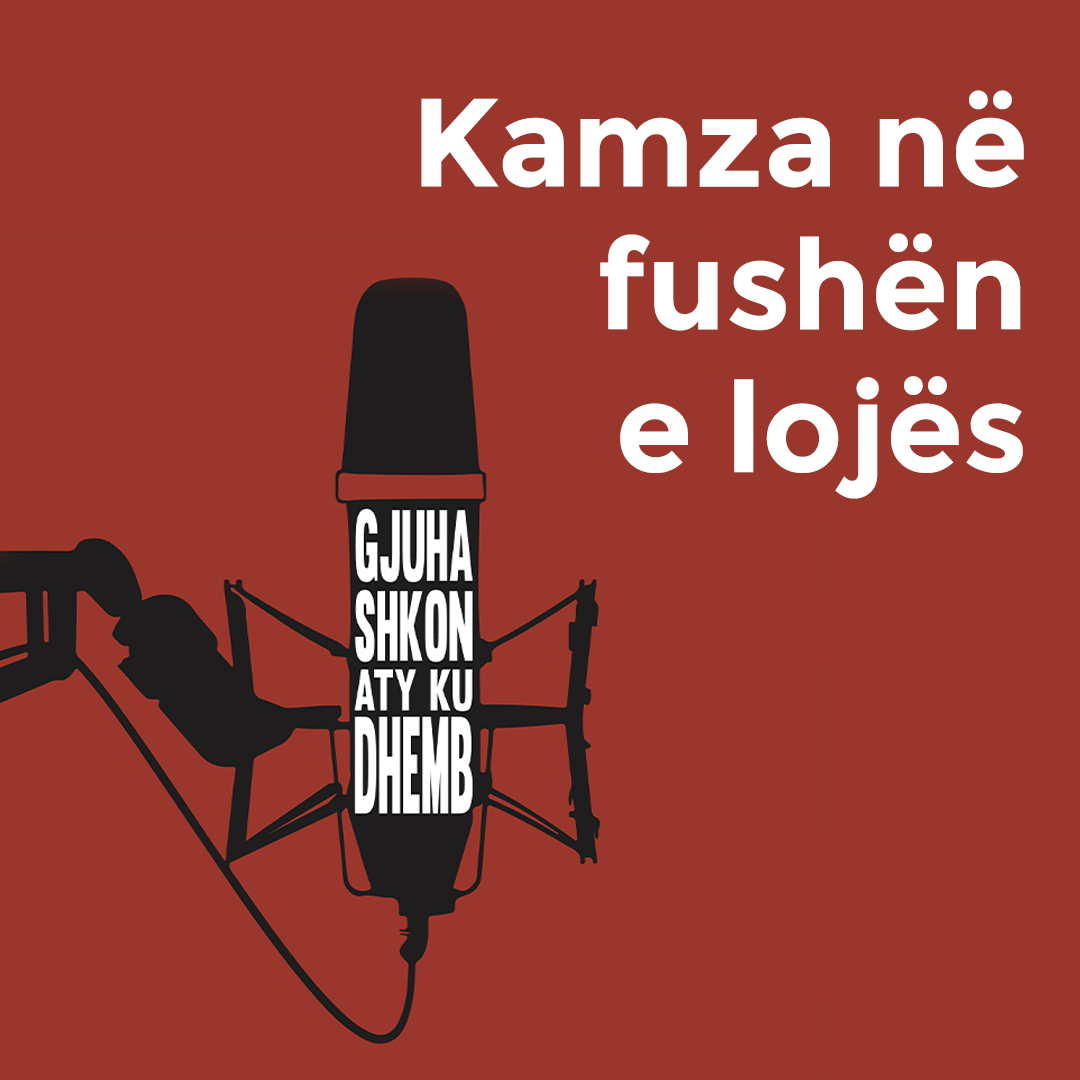 Kamza ne fushen e lojes cover