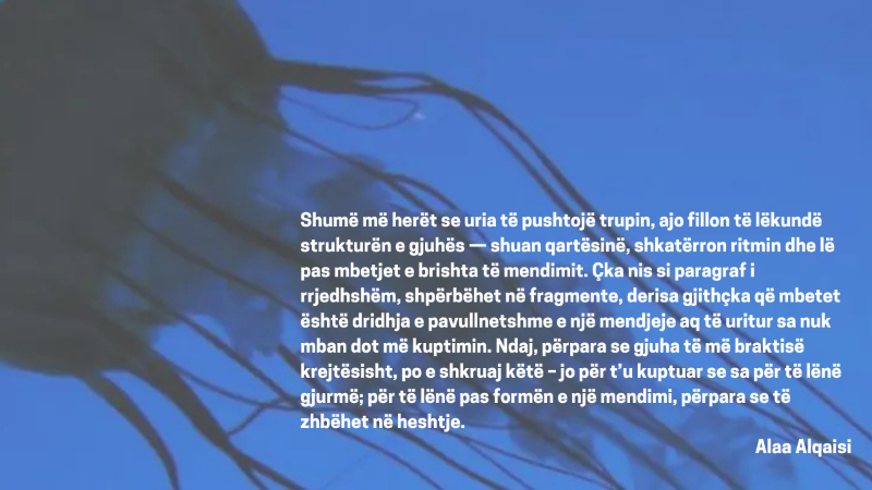 Read more about the article Nën Ulërimën e Urisë – Alaa Alqaisi