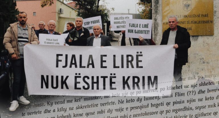 Read more about the article Si po kriminalizohet aktivizmi mjedisor