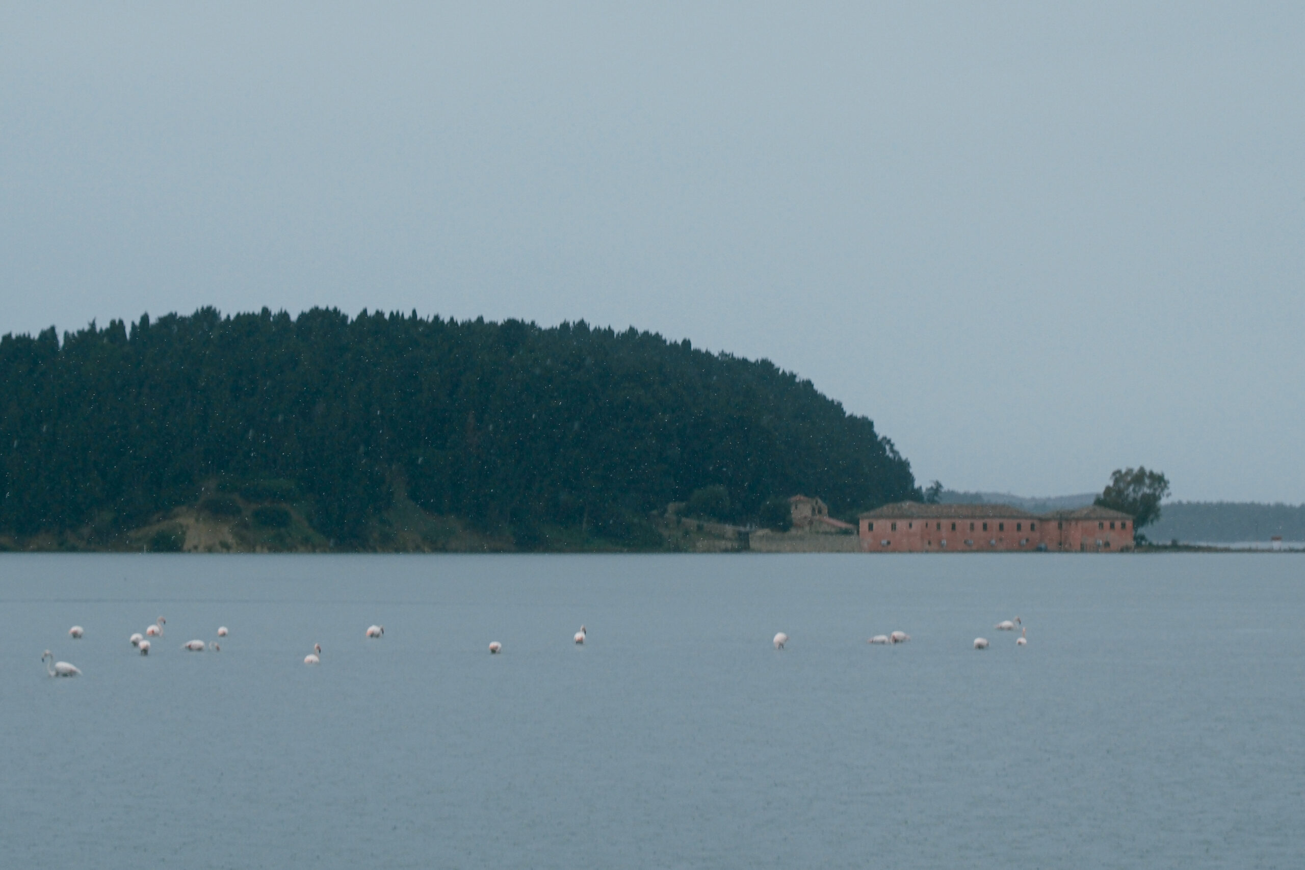 Peizazh nga Manastiri i Zvërnecit, (c) Trivet