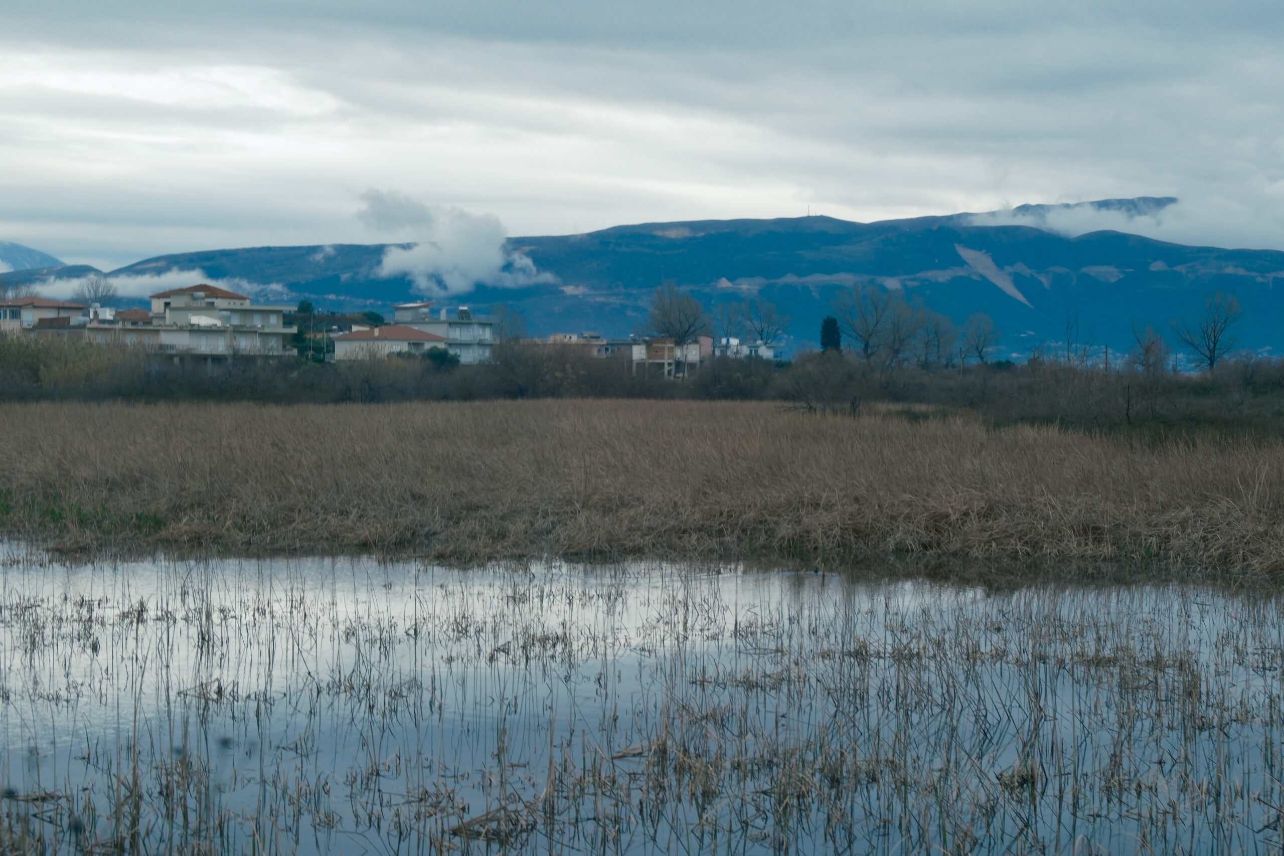 Peizazh nga zona, 31 janar 2026, (c) Trivet