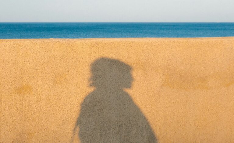 Read more about the article Përshenjuesi i ngurtë dhe objet a-ja – Sllavoj Zhizhek (II)