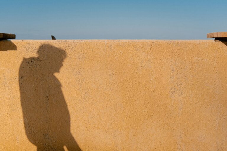 Read more about the article Imazh dhe vështrim – Sllavoj Zhizhek (III)