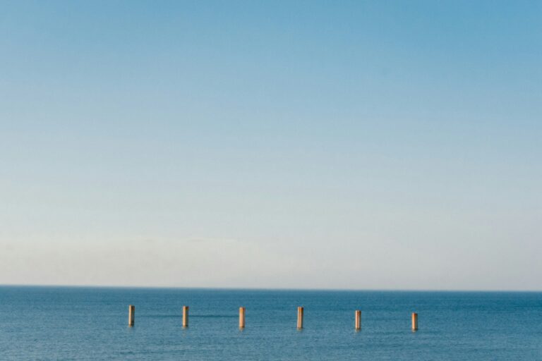 Read more about the article Tjetri inkonsistent i jouissance-s – Sllavoj Zhizhek (V)