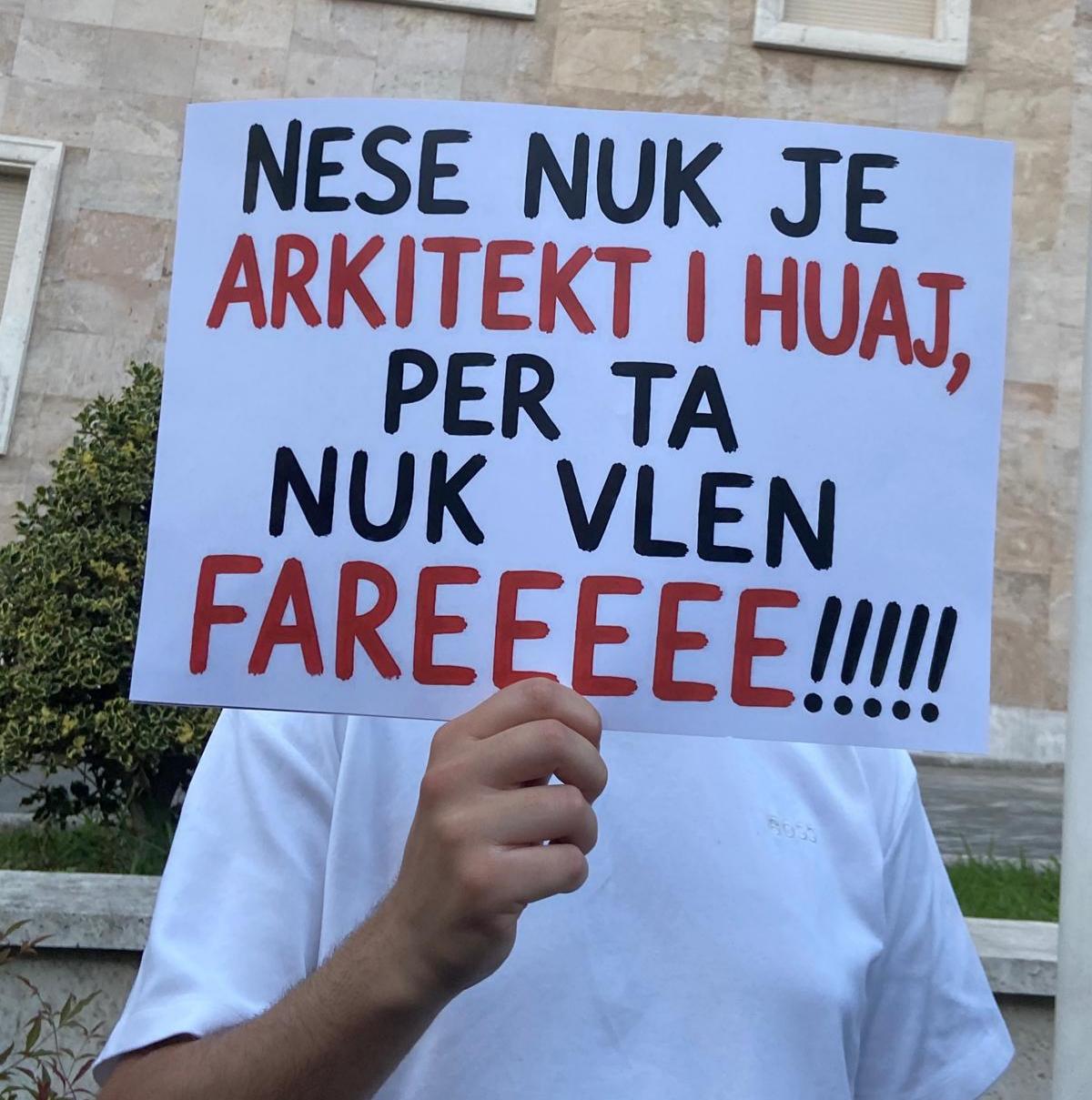 Nga protestat e revolucionit të flamingove, Klodiana Millona